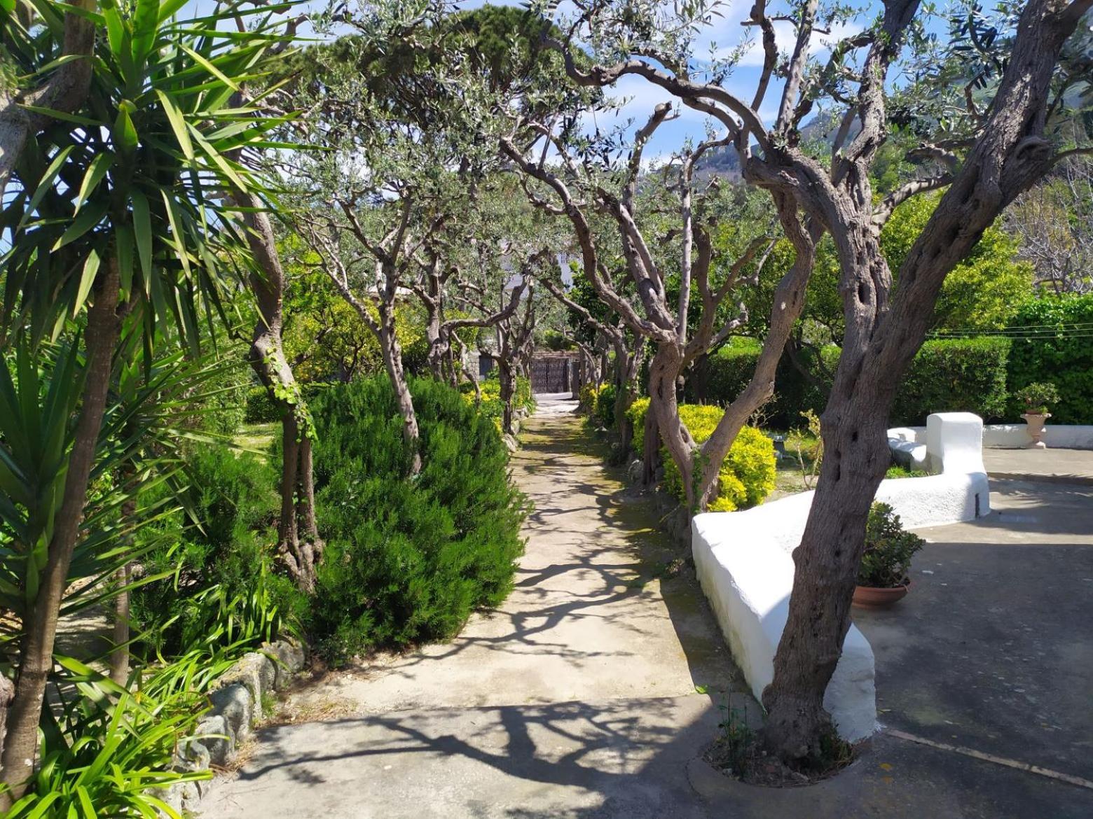 Villa Ravino Secret Retreat Forio  Ngoại thất bức ảnh