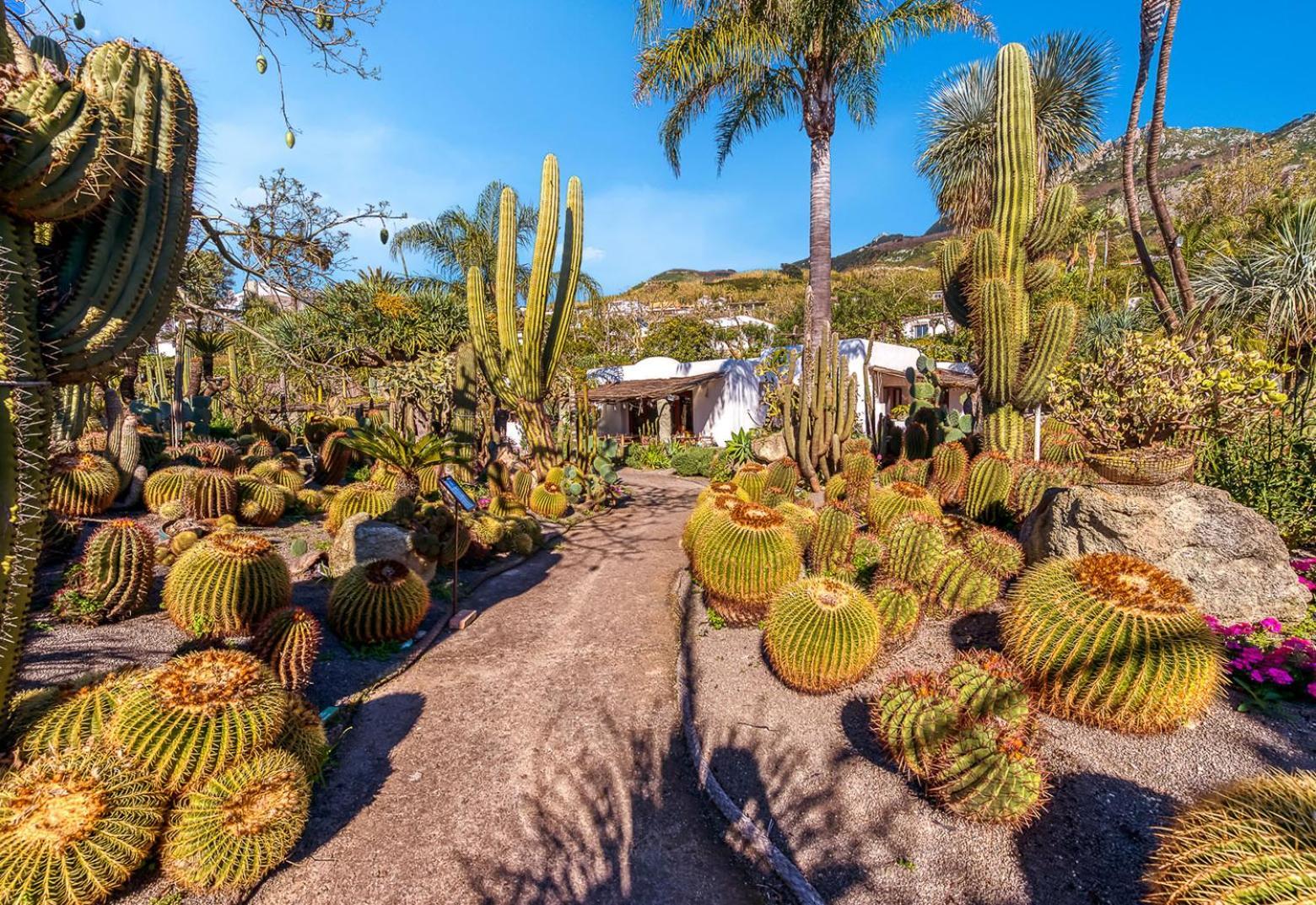 Villa Ravino Secret Retreat Forio  Ngoại thất bức ảnh